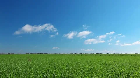 Green field and cloudy sky Stock Footage 12326210