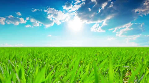 Green field and cloudy sky Stock Footage 22826420