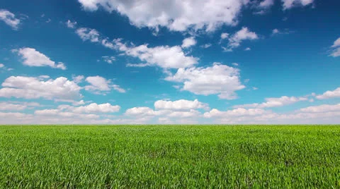 Green field and cloudy sky Stock Footage 25875765