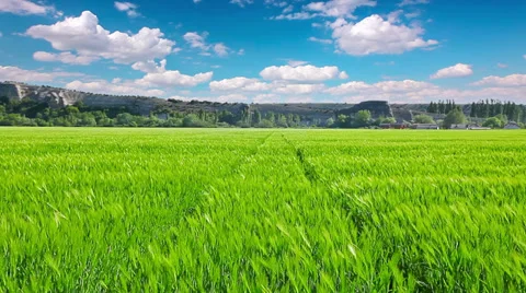 Green field and cloudy sky Stock Footage 32199268