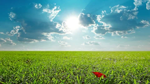 Green field and cloudy sky Stock Footage 34720595