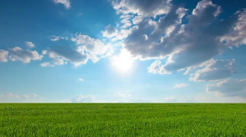 Green field and cloudy sky. 4K. FULL HD, 4096x2304. Stock Footage 36358963