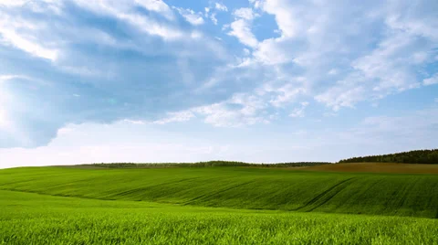 Green field and cloudy sky Stock Footage 37948443
