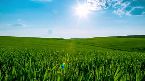 Green field and cloudy sky Stock Footage 37948637