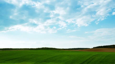 Green field and cloudy sky. Panorama. Stock Footage 37948848