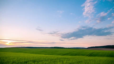 Green field and cloudy sky Stock Footage 37948972