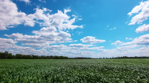 Green field and cloudy sky. timelapse. 4K Stock Footage 50309192