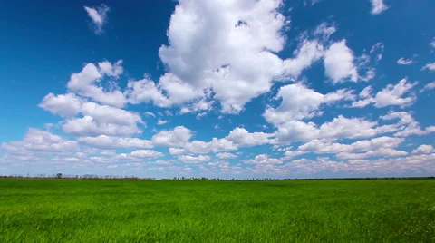 Green field and cloudy sky Stock Footage 50310532