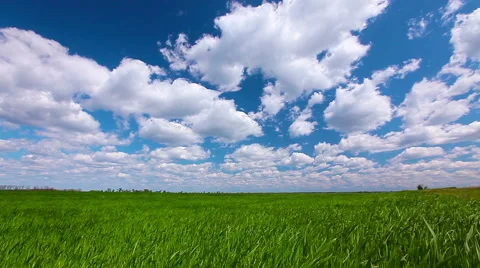Green field and cloudy sky Stock Footage 50310737