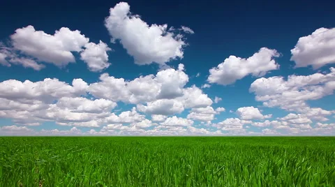 Green field and cloudy sky Stock Footage 51749297
