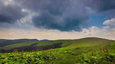 Green field and cloudy sky timelapse Stock Footage 52691254