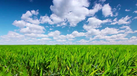 Green field and cloudy sky Stock Footage 53359214