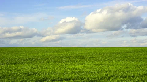 Green field and cloudy sky Video stock 61353275