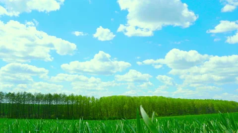 Green field and cloudy sky Stock Footage 63232591