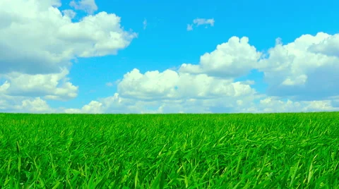 Green field and cloudy sky Stock Footage 63233898