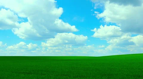 Green field and cloudy sky Stock Footage 63234619