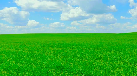 Green field and cloudy sky Stock Footage 63235177