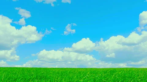 Green field and cloudy sky Stock Footage 63237051