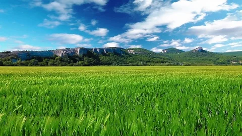 Green field and cloudy sky 库存影片 80443876
