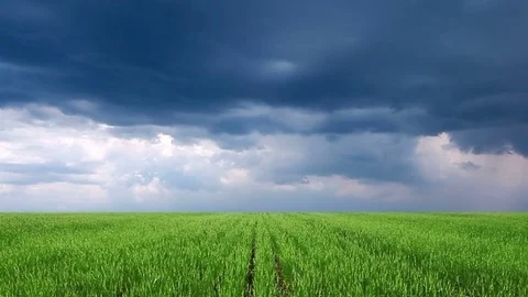 Green field and cloudy sky Stock Footage 84238579