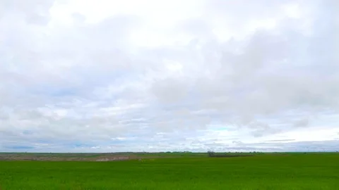 Green Field And Cloudy Sky Stock Footage 88788805