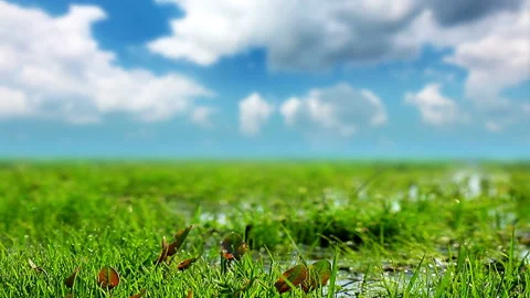 Green field and cloudy sky Stock Footage 104618445