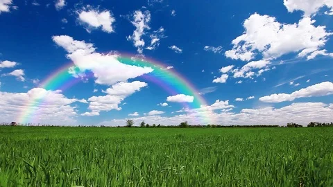 Green field and cloudy sky Stock Footage 108793063