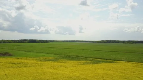 Green field and cloudy sky with a green forest on the horizon. Stock Footage 131311121