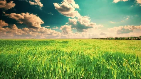 Green field and cloudy sky timelapse Stock Footage 147021164