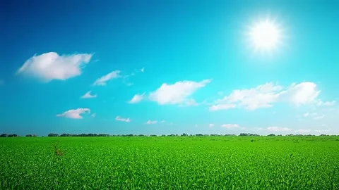 Green field and cloudy sky timelapse Stock Footage 220552055