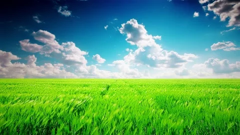 Green field and cloudy sky timelapse Stock Footage 220622251