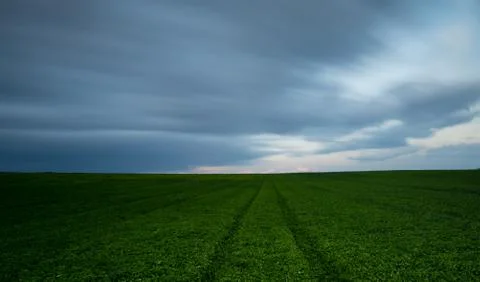 Green field and cloudy sky Фото