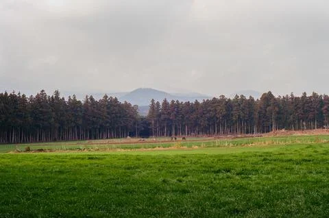 Green Field and Forest with Distant Mountains Under a Cloudy Sky Stock Photos