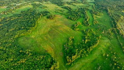 Green field and Forest with trees, view from the top. Stockbeeldmateriaal 201399593