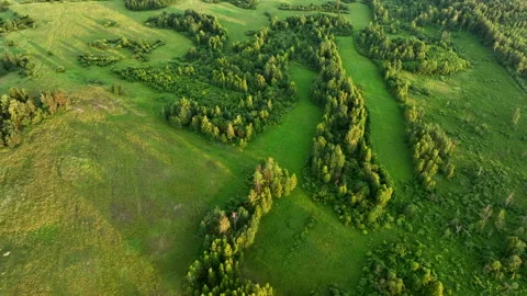 Green field and Forest with trees, view from the top. Stock Footage 201399606