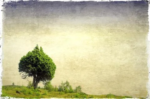 Green field and pair of trees heart-shaped Stock Illustration