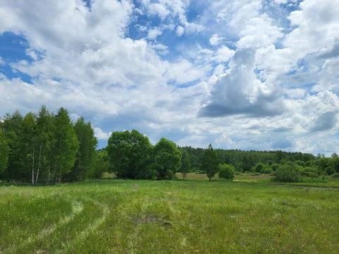 Green field and trees under changing cloudy sky Stock Photos