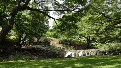 Green Field And Waterfall Stock Footage 104827313