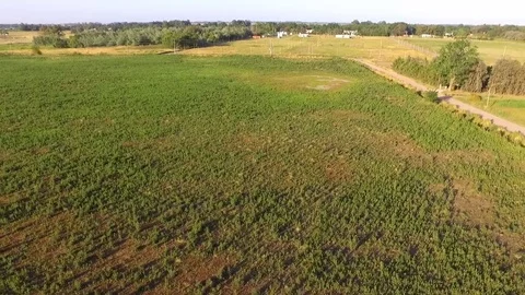 Green field of Argentina. Video stock 85027591