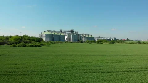 Green field on the background of grain elevators. Agricultural business. Young Stock Footage 155986225
