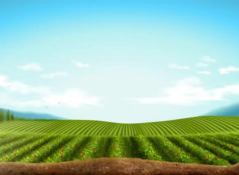 Green field background Stock Illustration
