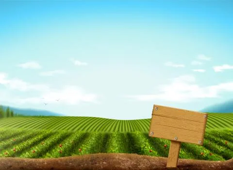 Green field background Illustrazione stock