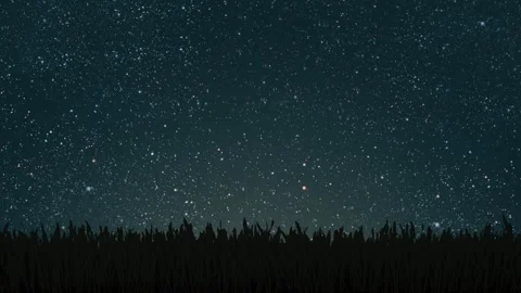 A Green field on the background of the night sky. Video stock 250884822