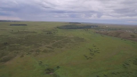 Green field. Beautiful field aerial view. Beautiful landscape top view Stock Footage