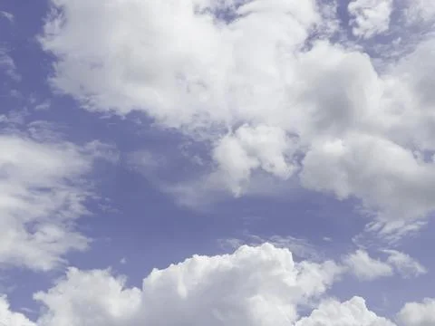 Green field with blue sky spring environment 库存照片