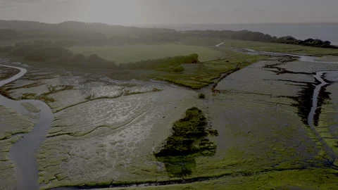 A green field with a body of water in the background Stock Footage 298280997