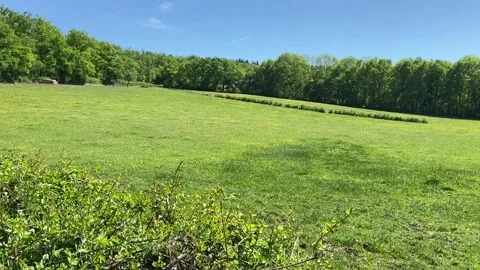 Green field in Burgundy Stock Footage 340640221
