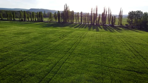 Green field with car on a road on background. Beautiful aerial landscape. Top Stockbeeldmateriaal 170372902