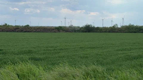 Green Field with Distant Wind Farm on Horizon Stock-Footage 335808630
