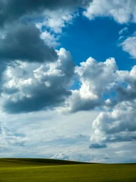 Green field with dramatic sky Stock Photos